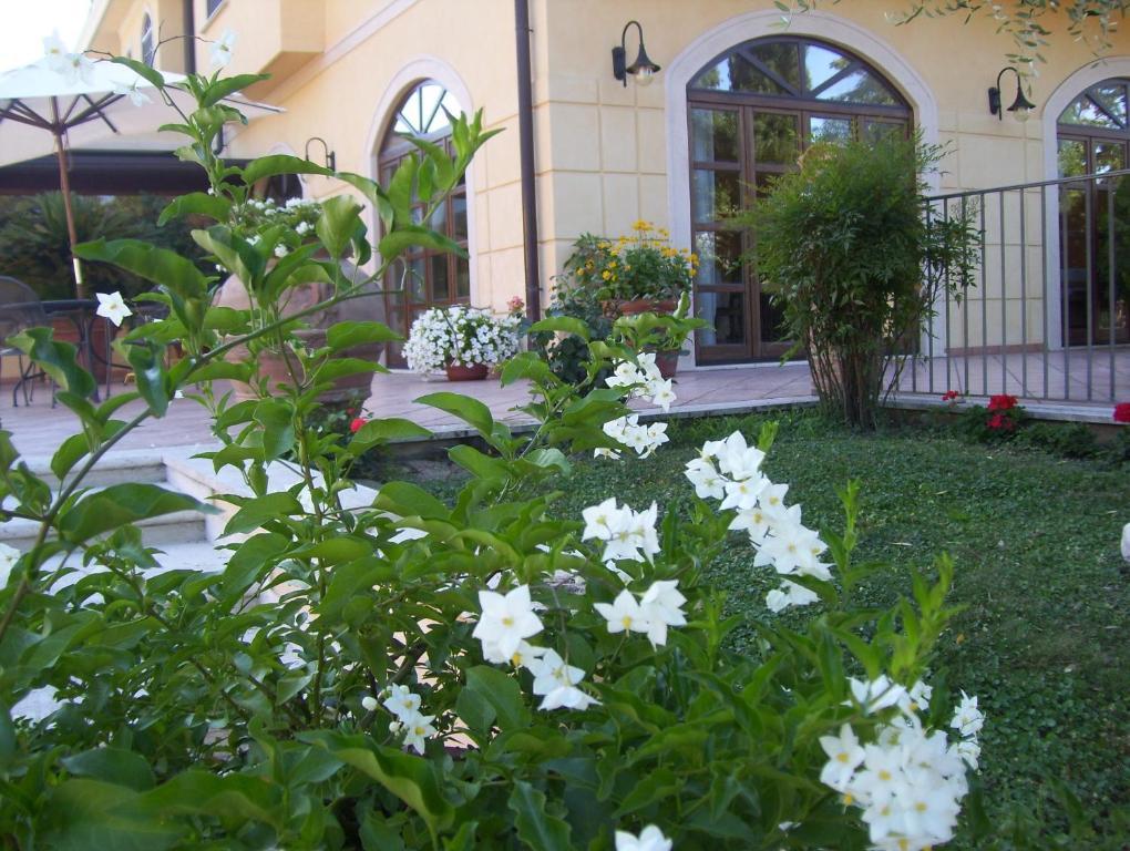 Del Sole Sora