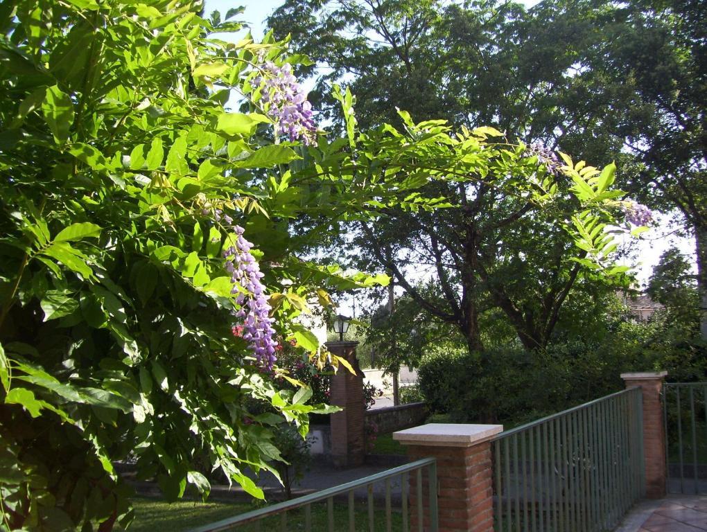 Del Sole Hotel